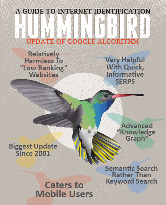 A Guide to Hummingbird